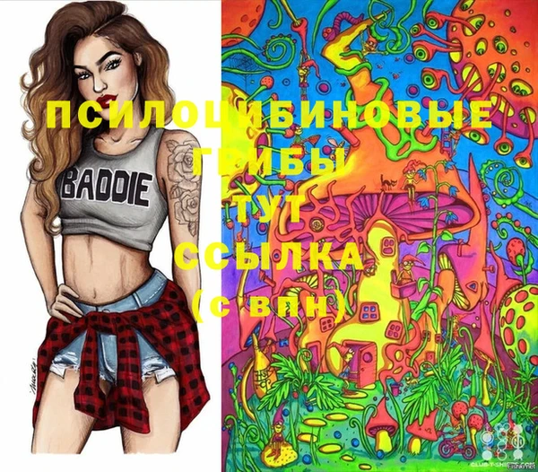 apvp Арсеньев