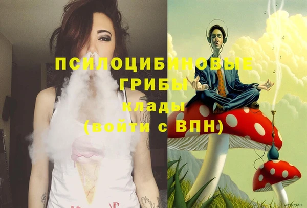 мет Аркадак