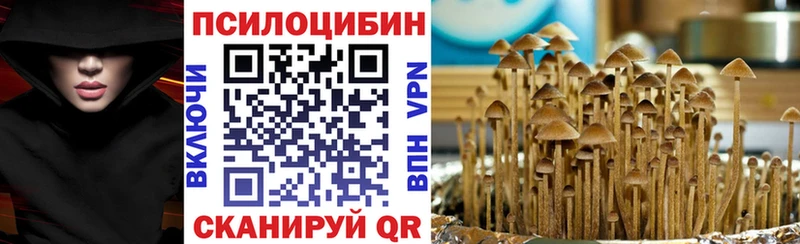 закладки  Дюртюли  Псилоцибиновые грибы Magic Shrooms 
